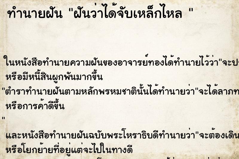 ทำนายฝันทำนายฝันฝันว่าได้จับเหล็กไหล